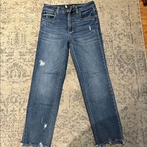 Kut from the Kloth Straight Leg Blue Jeans